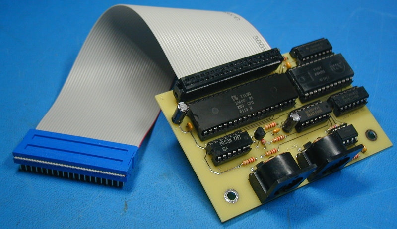 EEH Banana Retro-Midi von Tauntek